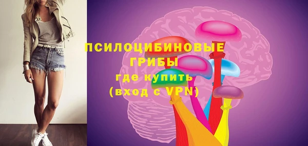 Альфа ПВП Алзамай