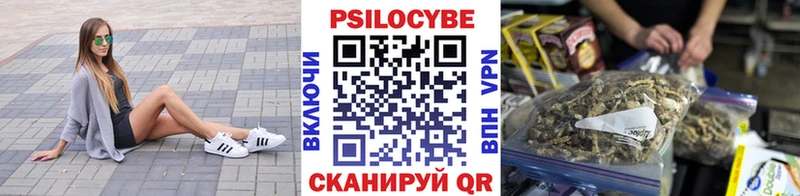 Галлюциногенные грибы Psilocybine cubensis гидра зеркало Алексин цены