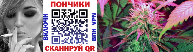 купить закладку  Алексин  Каннабис конопля 